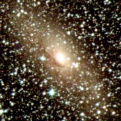 ESO 097-013