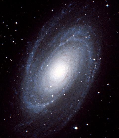 M81