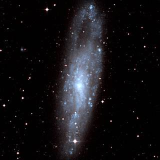 NGC 247