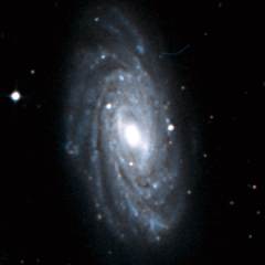 NGC 3953